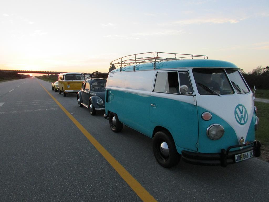 George Show 2019 (5)