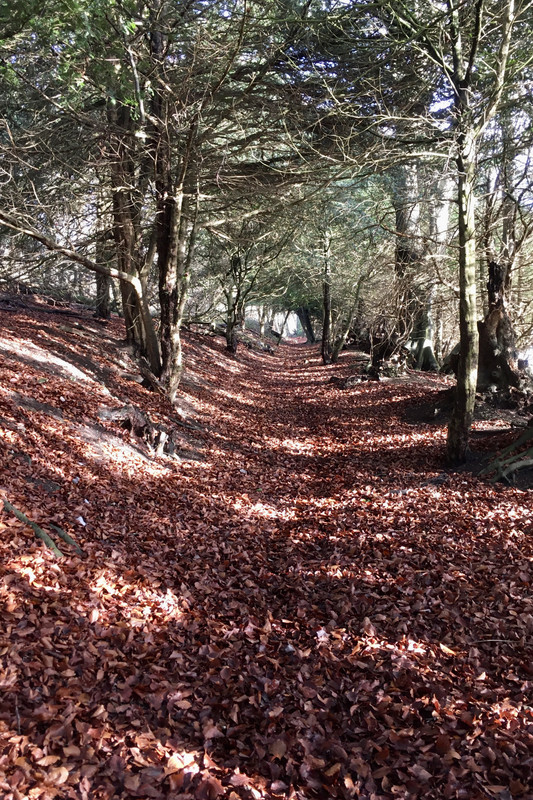 EE3C5297-B3FE-41AA-9A05-36C0D5418CE7