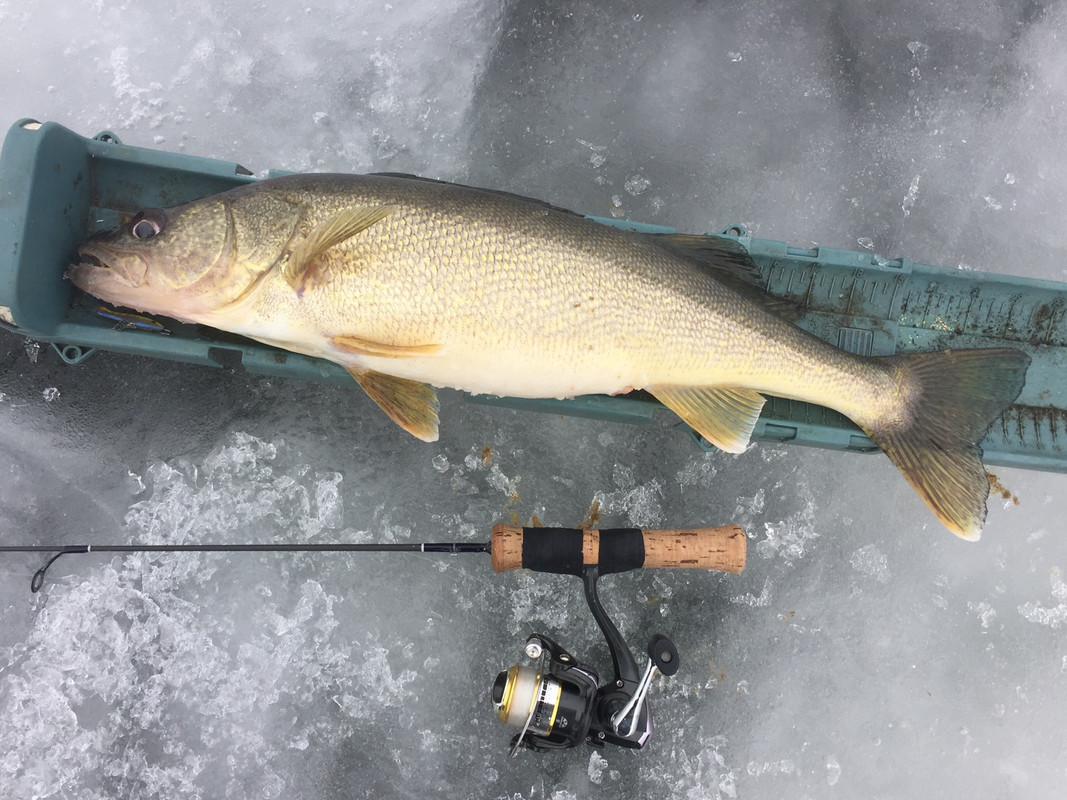 0B95584F-D145-489A-ADCC-E898648D150B