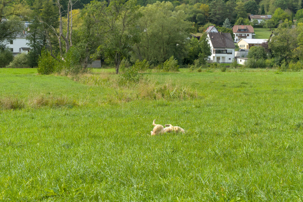 DSC06445