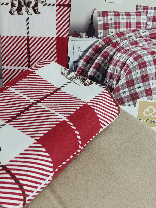 изображение_viber_2022-11-19_08-15-04-930