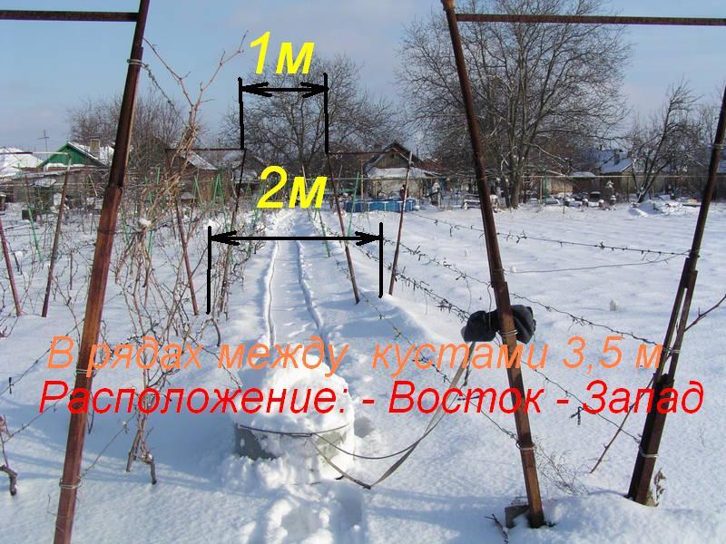 Межнурядье