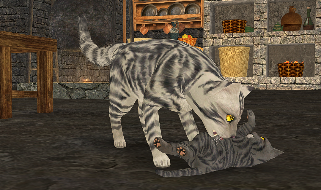 Greenshot-2025-10-25-14-51-15