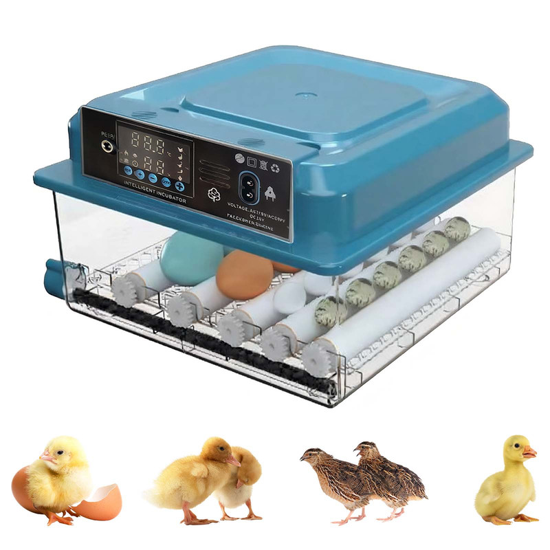 16/36 Eggs Incubator Clear For Poultry Hatching Machine Automatic Turning