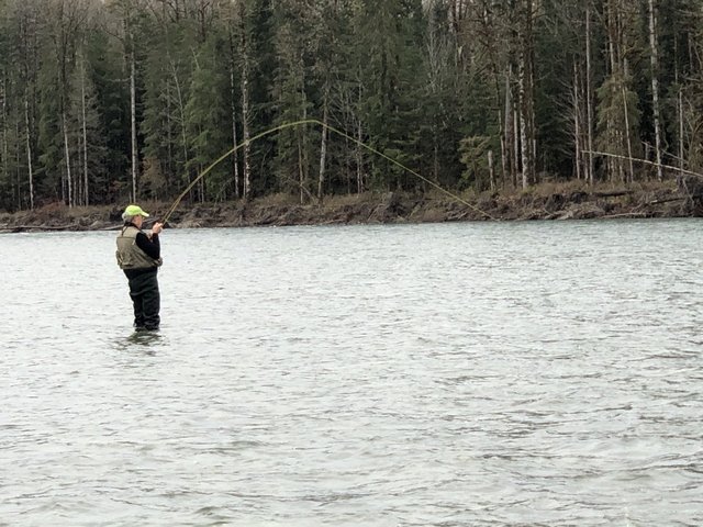 4BCEC5E1-BBF3-49A9-88CD-EB9A08F0CE28_1_105_c