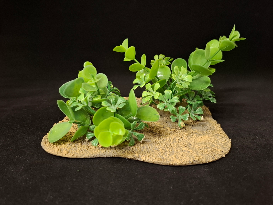 [Image: Verdure4.png]