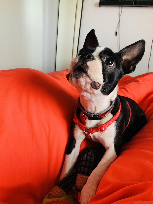 CC7904ED-A954-4D46-B916-754565A1DC3F