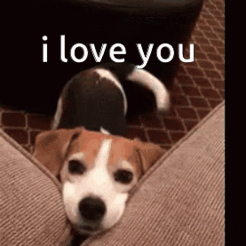 IMG-3260.gif