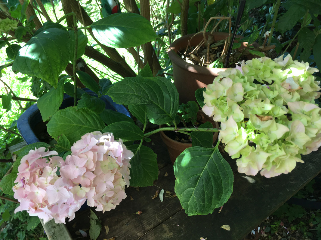 7B241AD8-907C-4663-99F6-9E46139A7263