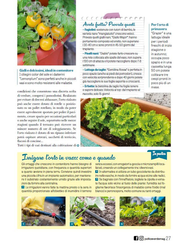 Pol Ver Mar 2025 (6)