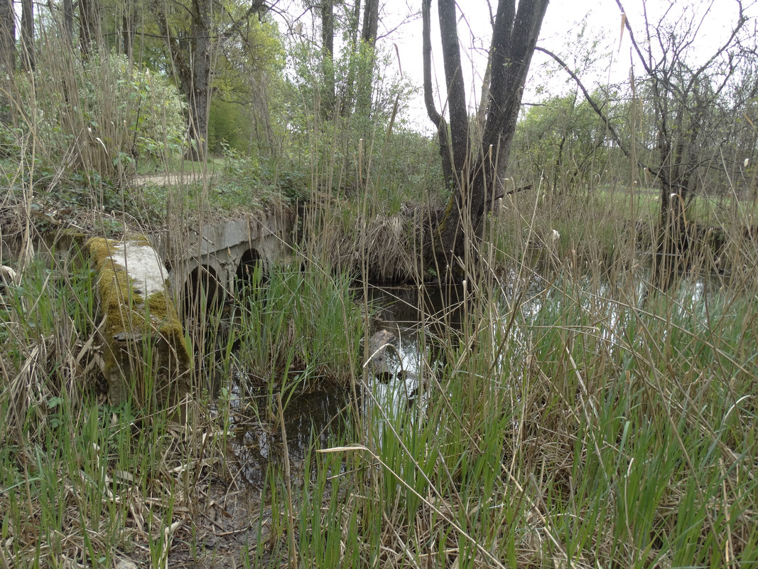 06.22 - DSC09386 (Czesio1)