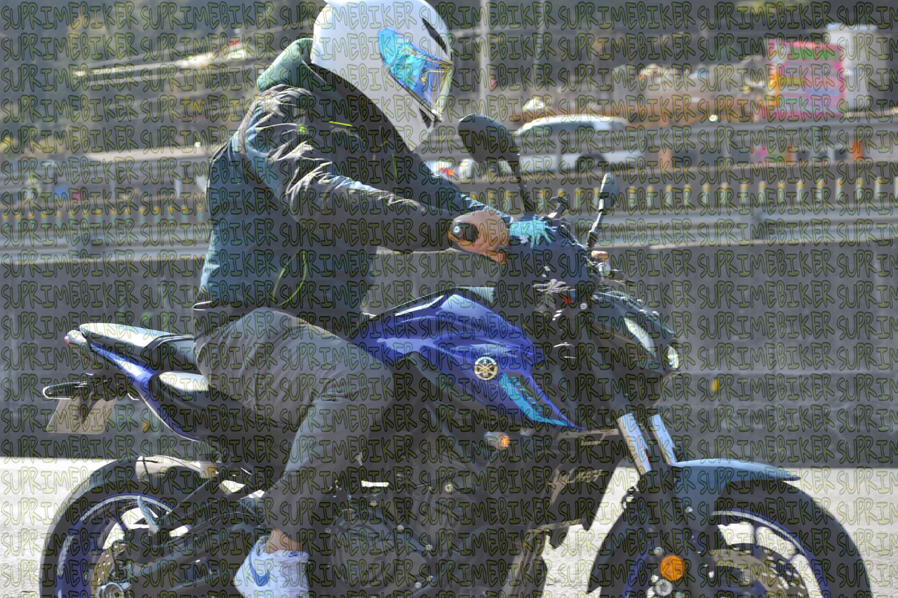 DSC 0017