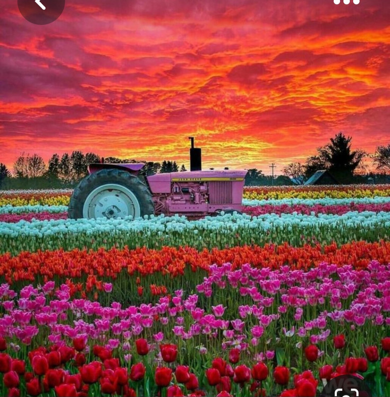 Screenshot_20230429_005737_Pinterest