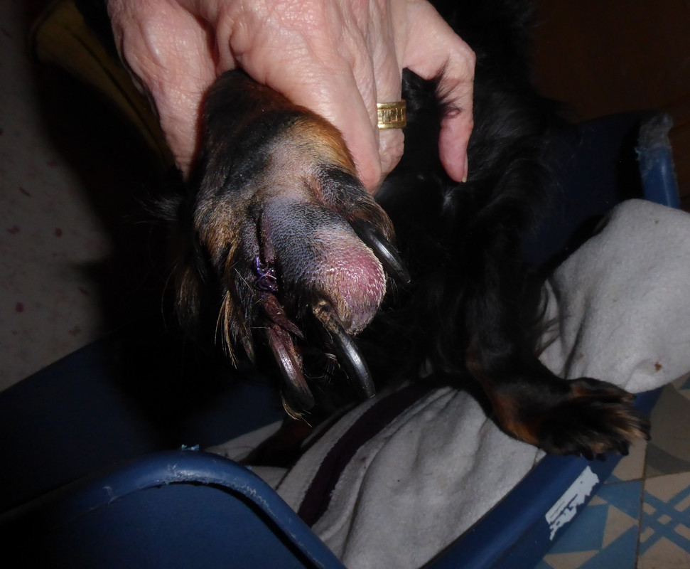 [Image: P1020567.jpg]