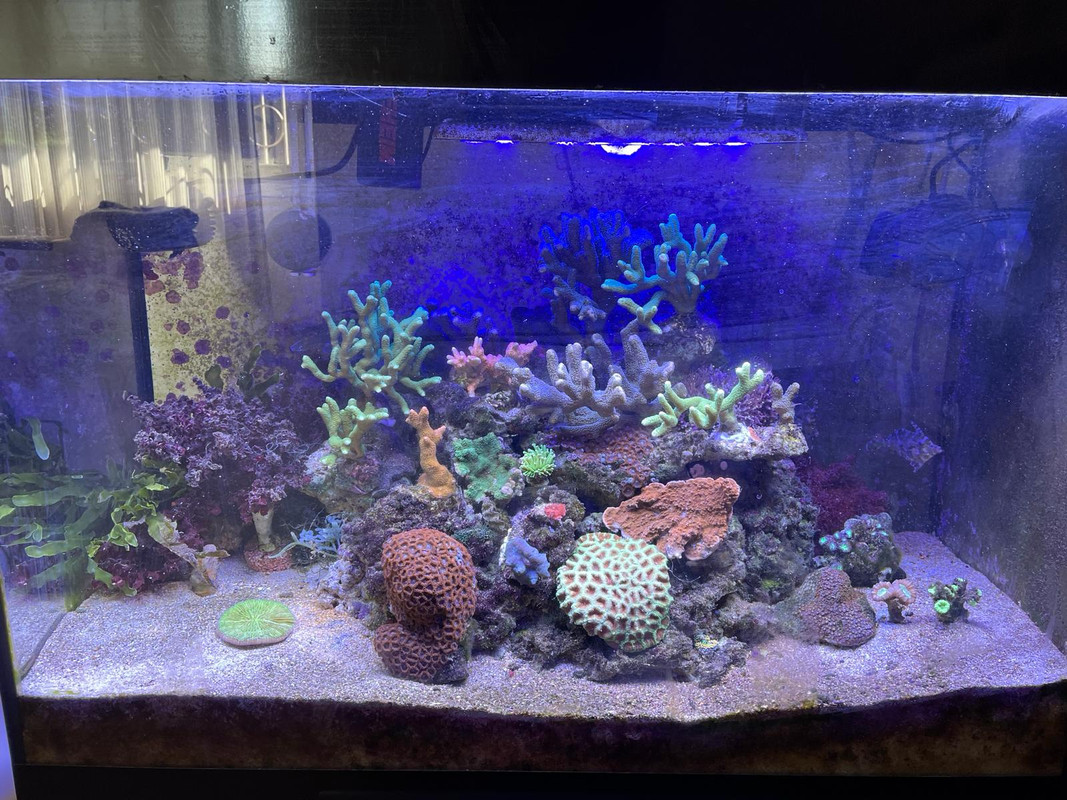 WhatsApp Image 2024-02-22 at 11.22.39 (1)