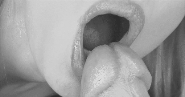 image.gif