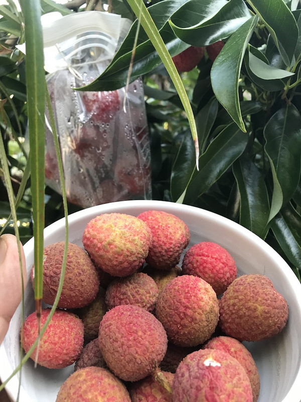 E7D41AA0-7A66-4323-9695-2D1FA1397752_1_105_c