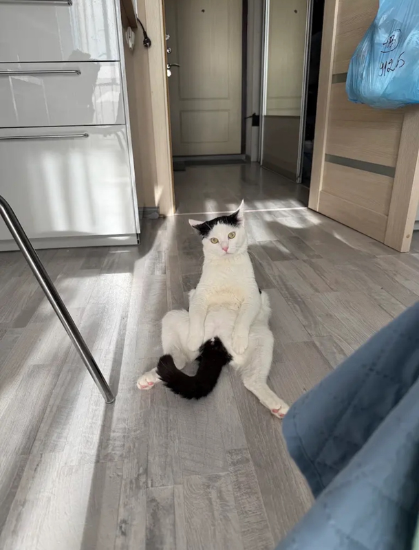 sit1.png