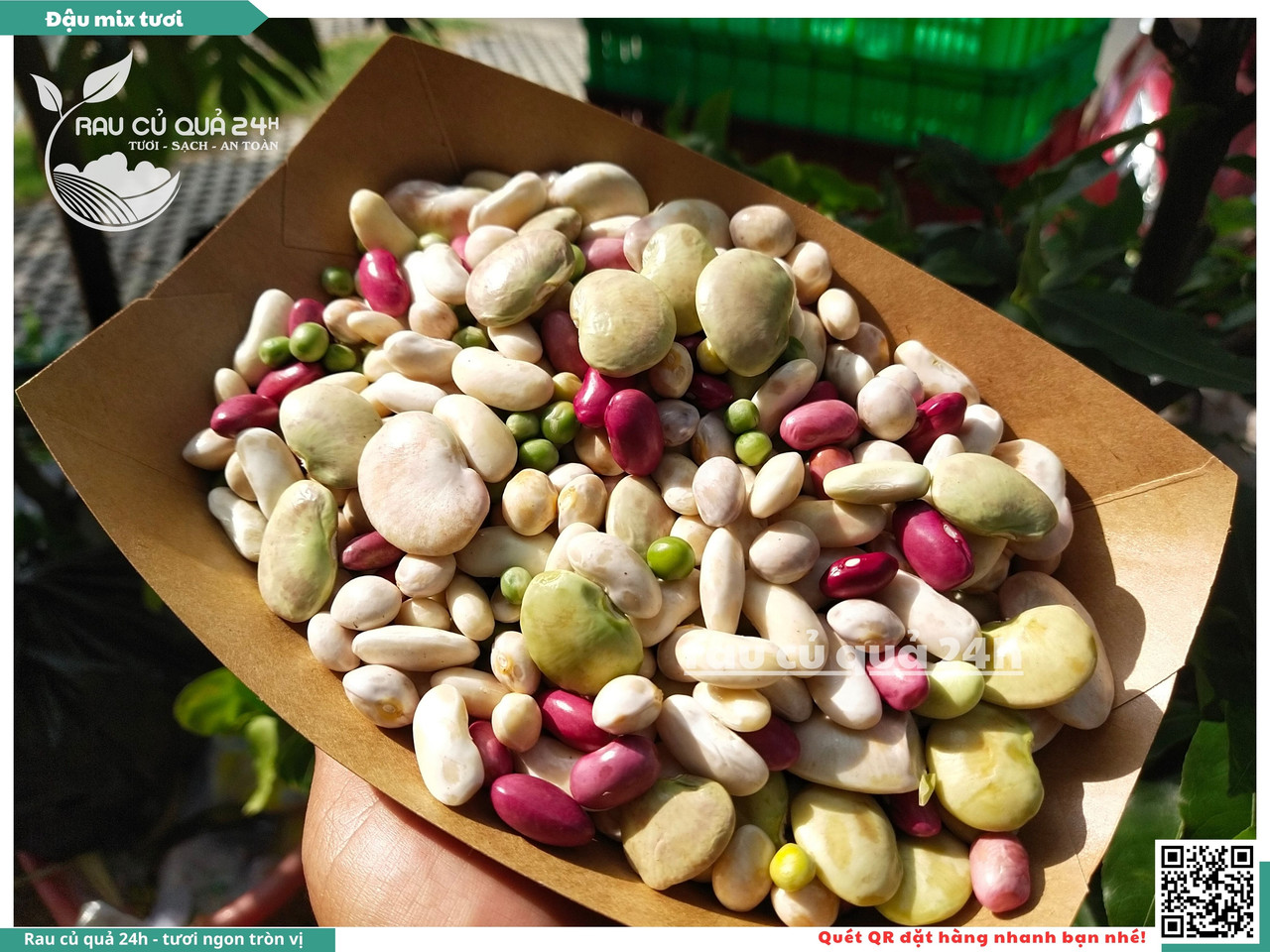 Đậu Mix Tươi 12