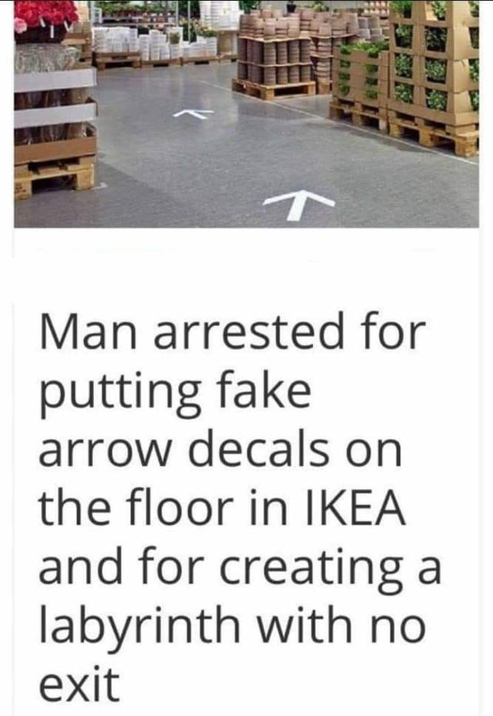 1667063687029480.jpg