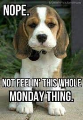 Monday-NOPE