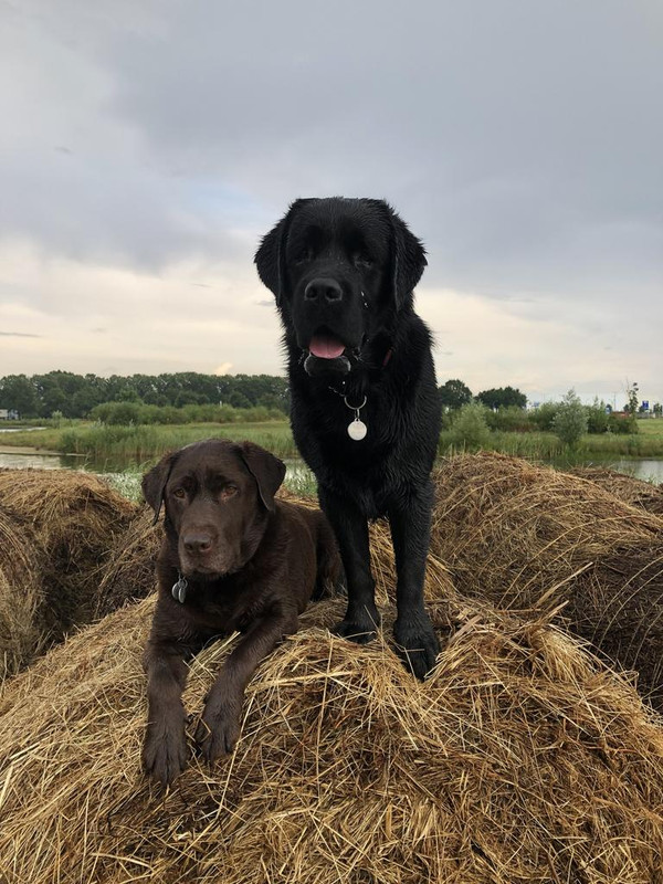 B25D7B0C-04DA-4379-8EA6-829A95E8CD23