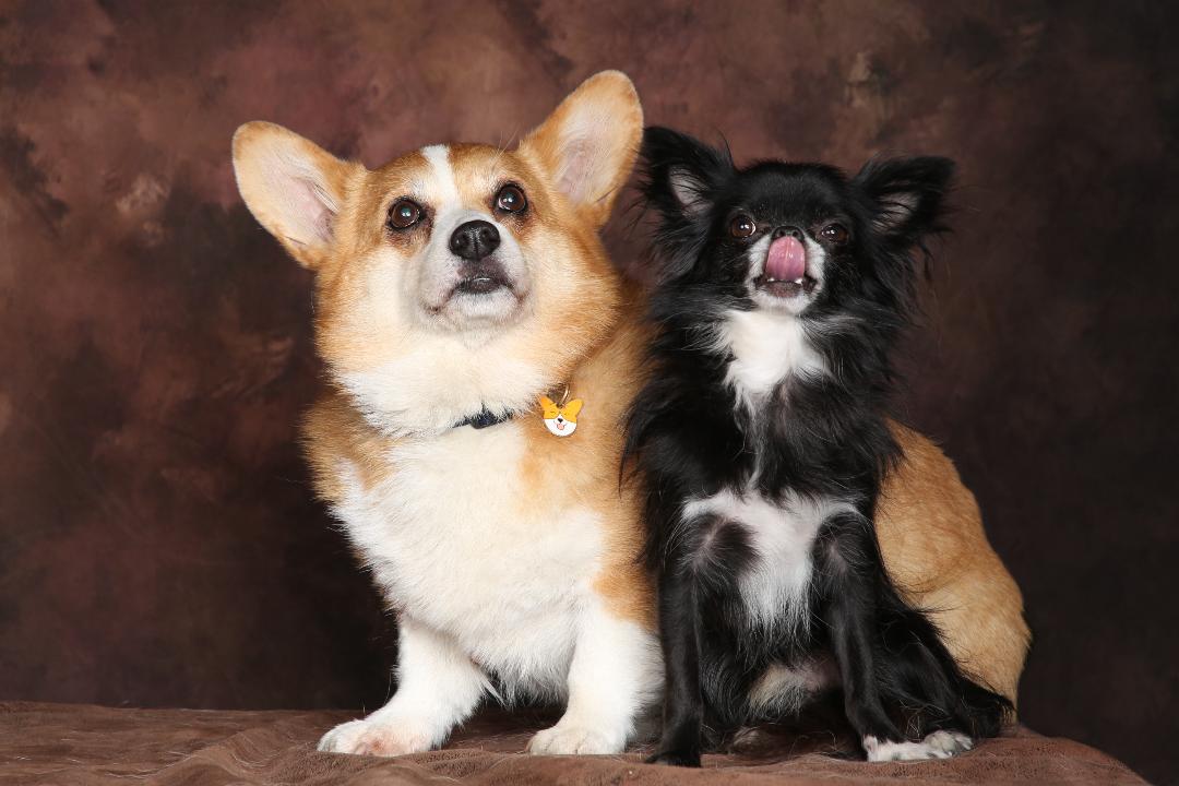 [Image: 4-F8-C23-AD-15-BF-45-E4-BF33-D5-AEDCB0-E9-B2.jpg]