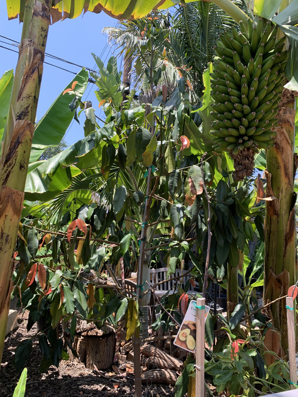 256AB006-7EF2-47EF-A3C7-AE8D513983C9