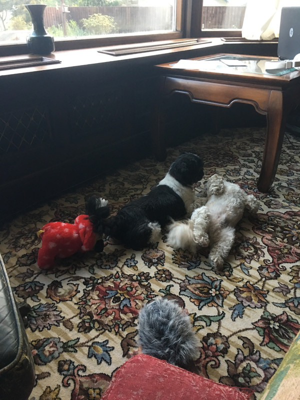 0111CA73-FEE3-49C0-BC7F-9E19D0F2B479