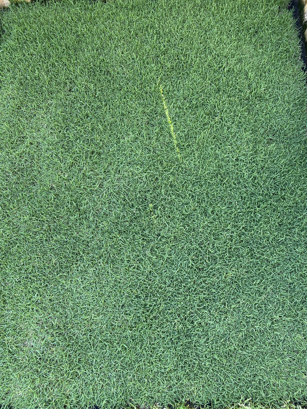 6382B369-AB4C-4DEE-A7A6-E85FB1857C14