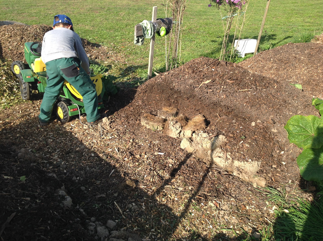 Kompostmiete Aus Drei mach Eins 2.Okt. 2015 (4)