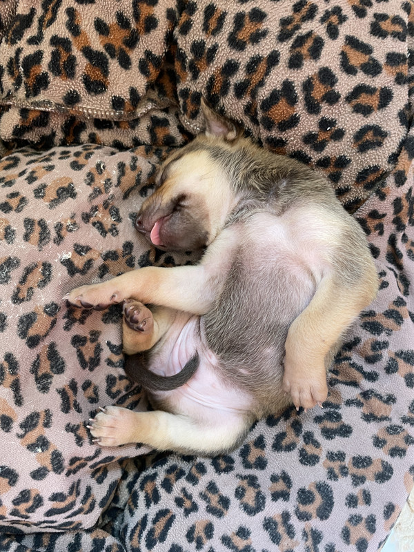 DF5CD1D8-0A04-43EF-85EE-39C42EFA23B9