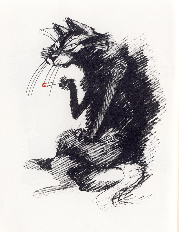07-p20-21
