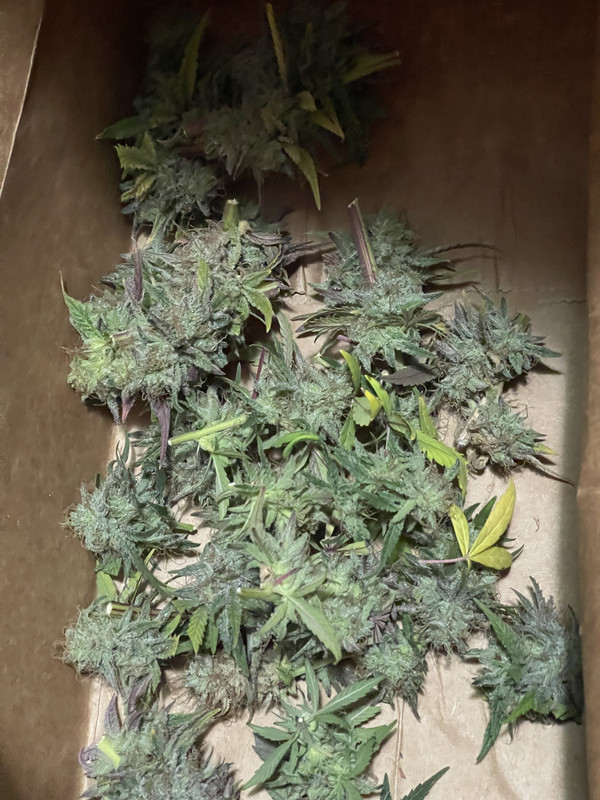 31BD2ED6-21BC-416C-8572-D115C65F2E6E