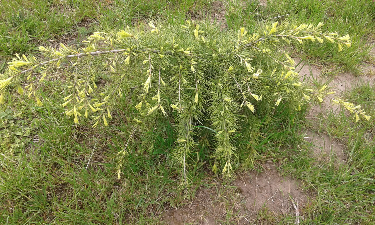 20150424 171624