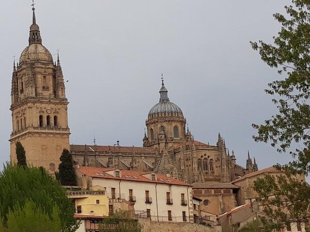 Semana Santa 2019: Salamanca-Granadilla-Cáceres y Trujillo - Blogs of Spain - Llegamos a Salamanca (17)