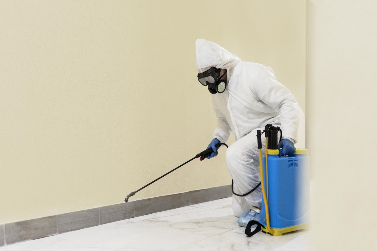 termite control services 