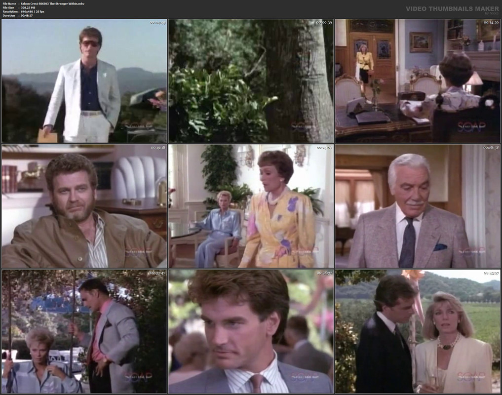 Falcon Crest S06E03 The Stranger Within.mkv