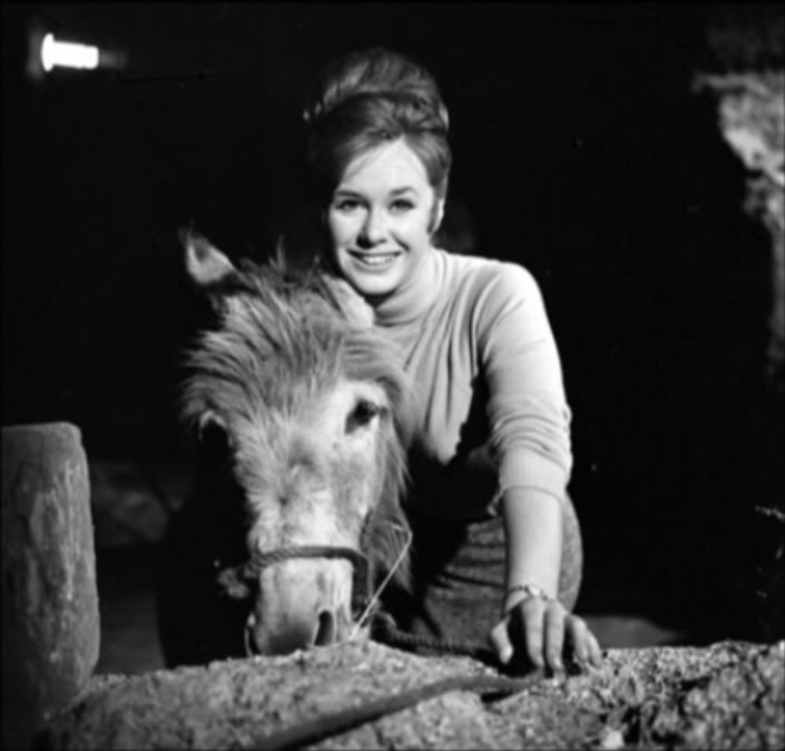 carol_cleveland_a29