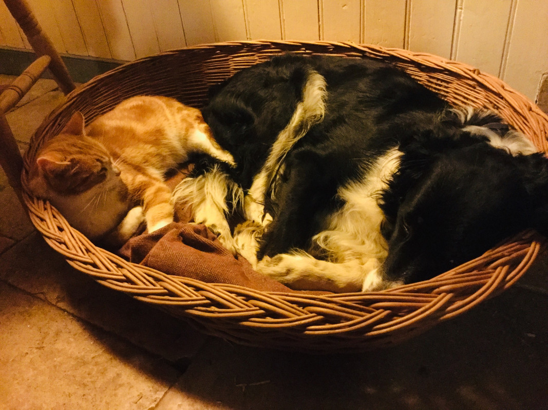 F177CAF3-BC95-469E-83D2-6145F43DD728