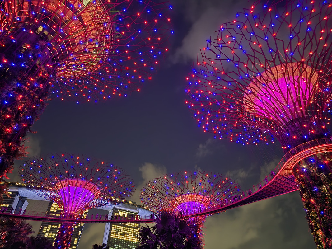 Y POR FIN... SINGAPUR - INDONESIA JULIO 2024 (KUALA LUMPUR- BORNEO- YOGYAKARTA- BALI- SINGAPUR) (6)