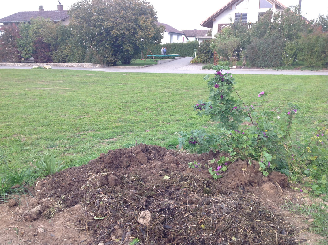 Kompostmiete Aus Drei mach Eins 2.Okt. 2015 (22)