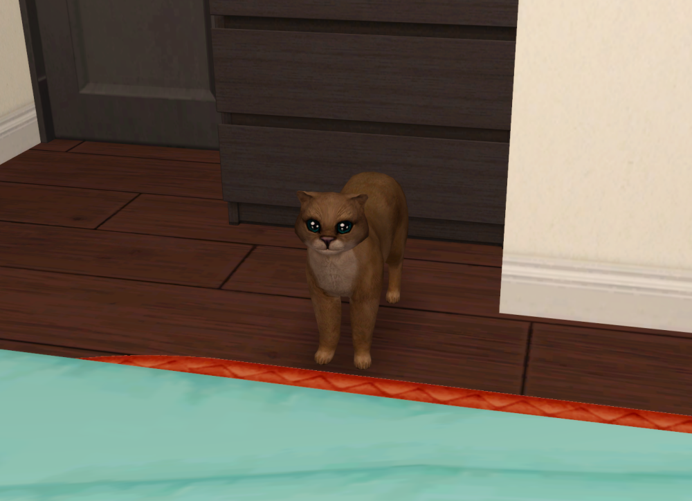 Sims2-EP9-RPC-2021-11-20-20-02-57-35