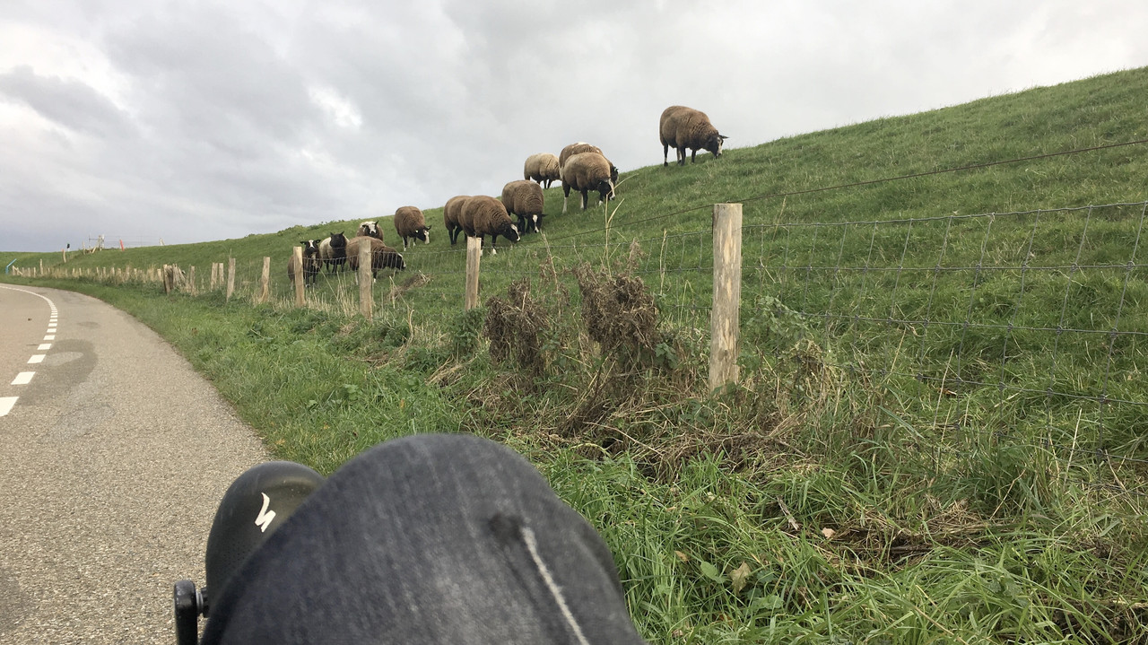 31D2B64E-FDED-46CC-B5FB-CA7A867E7B32