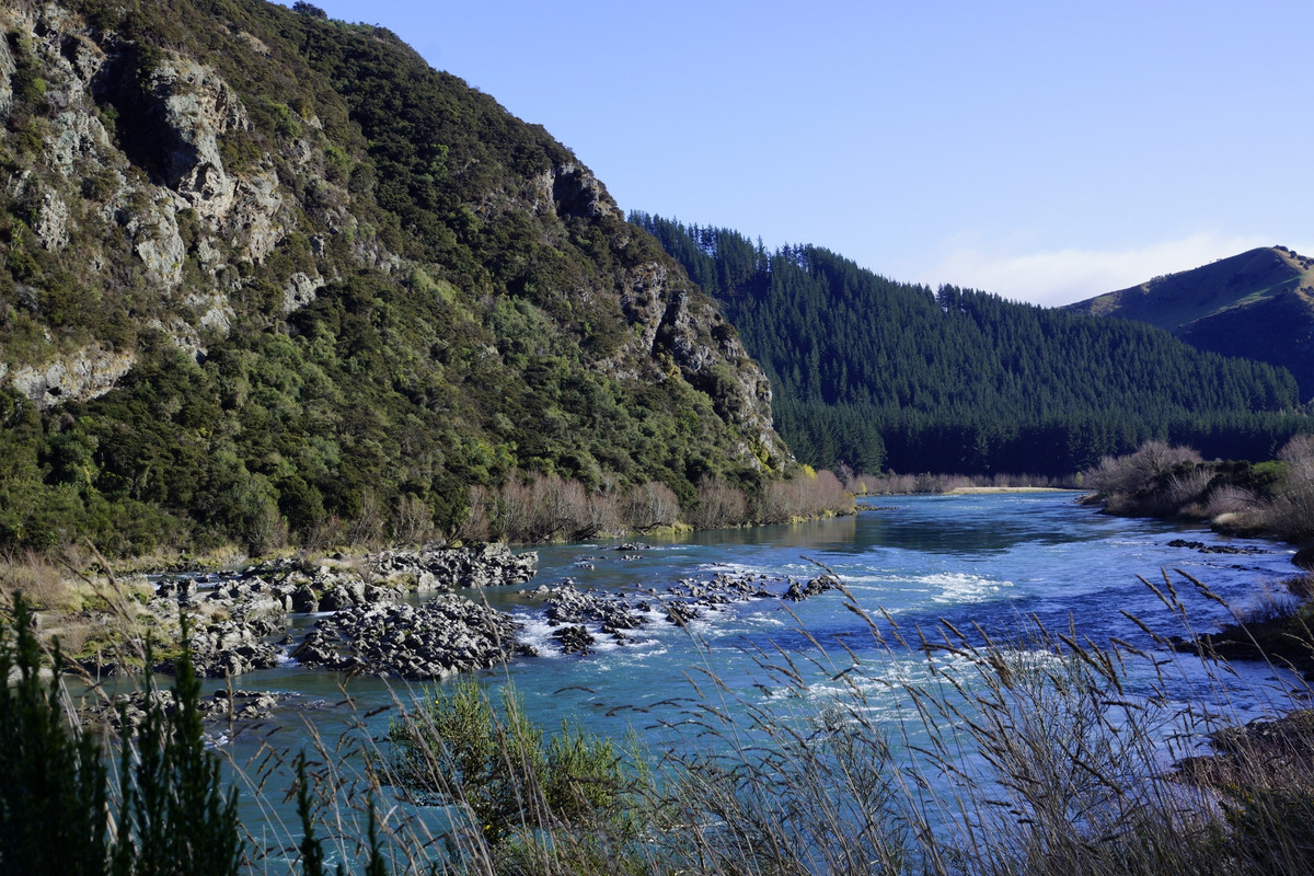 _DSC5602 (1920x1280)