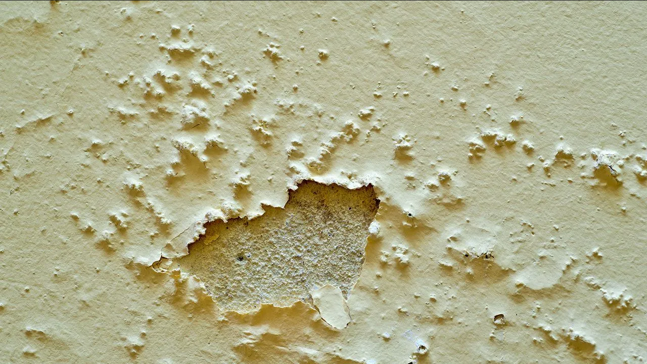 Elimina la humedad y moho en las paredes antes de pintar con estos trucos
