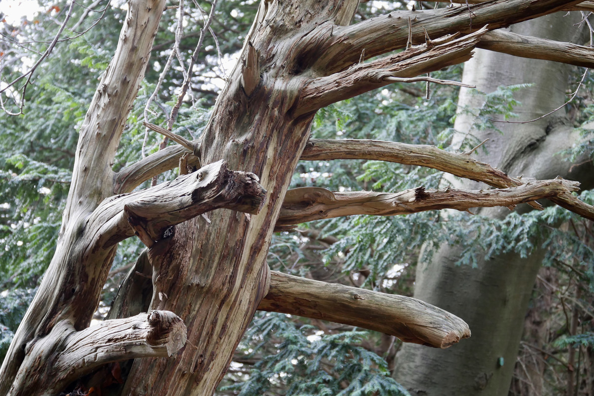 F5B874C2-C36A-4542-B947-45D262840B00