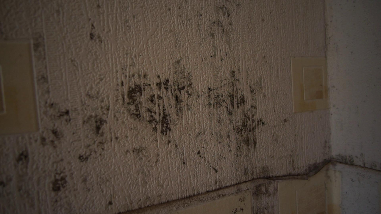 vlcsnap-2022-06-13-18h28m07s152