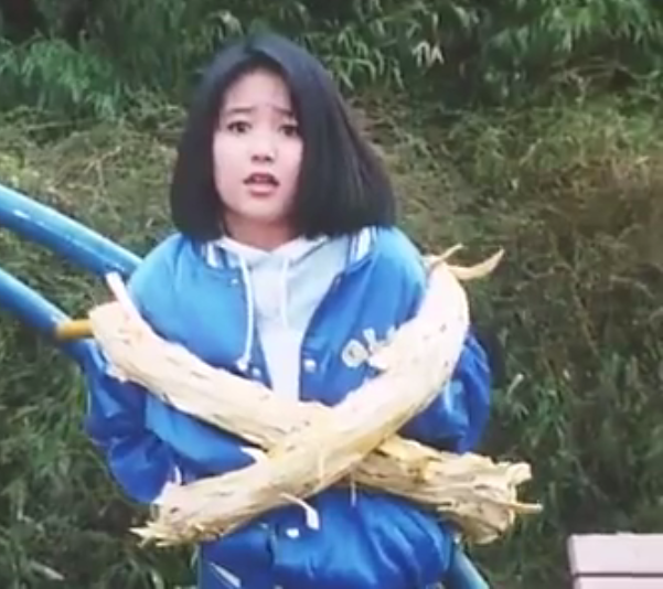 jetman10