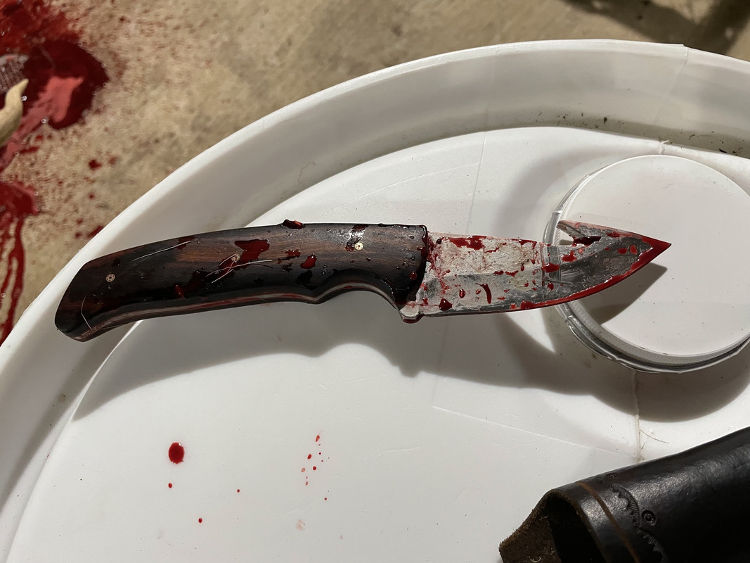 0F4DEE70-74AF-421F-95BA-50A81CDC1CCA